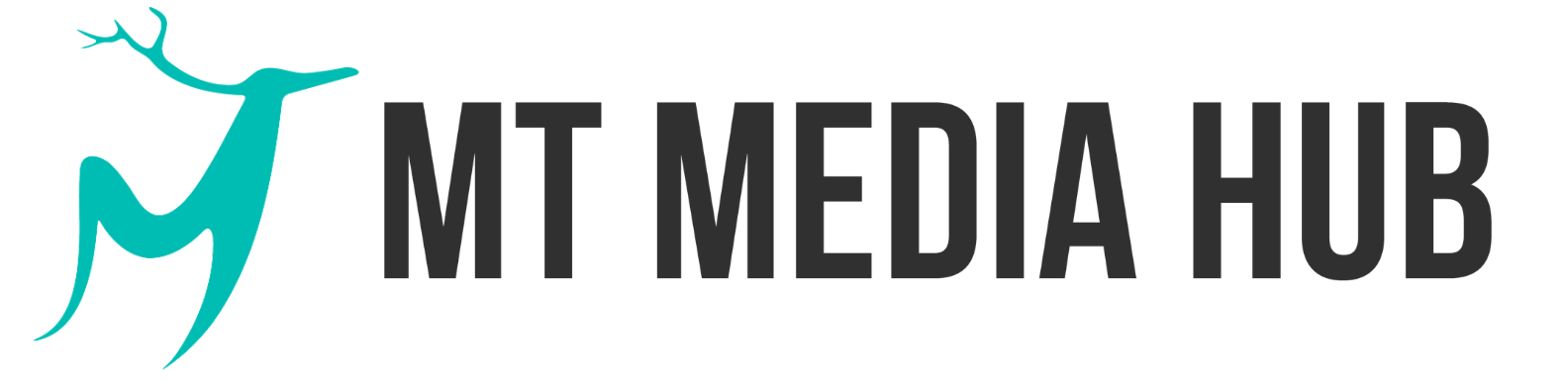 MT Media Hub